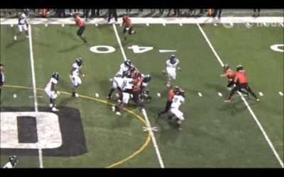 Dylan Raiola Highlights (Five-Star Ohio State QB Commit)