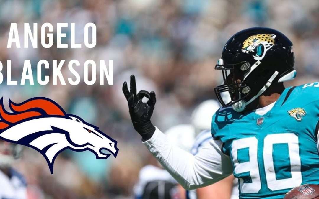 Angelo Blackson || NFL Highlights || Denver Broncos DL
