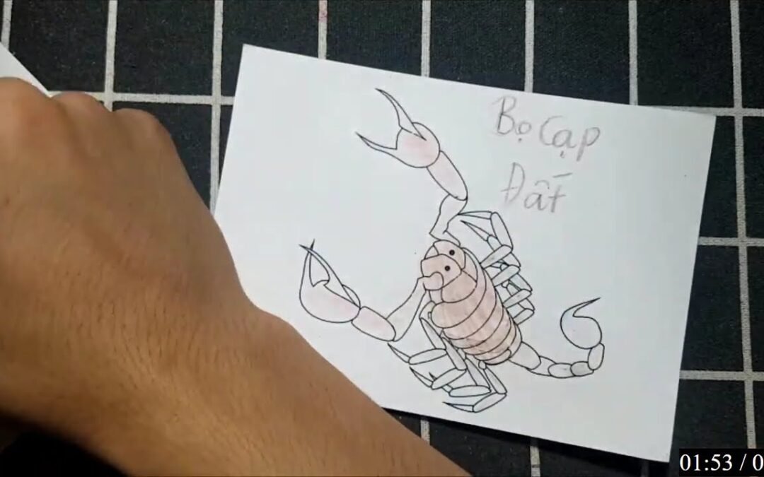 GMFB | Bo Nix is the best in the class, by far – Kyle Brandt reacts to Broncos' 34-30 win over Colts