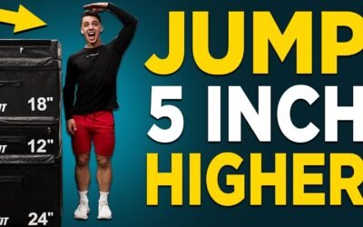 10 MIN VERTICAL JUMP WORKOUT (NO EQUIPMENT EXERCISES TO JUMP HIGHER!)