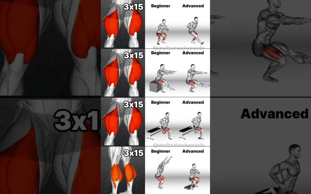 Leg Workouts for ALL Levels: Beginner to Advanced Training!