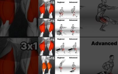 Leg Workouts for ALL Levels: Beginner to Advanced Training!